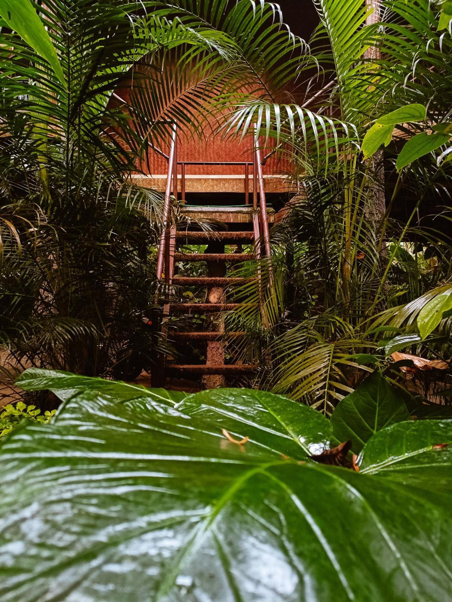 Monsoon Retreats Ecostay- Treehouse Thekkady Quarto foto