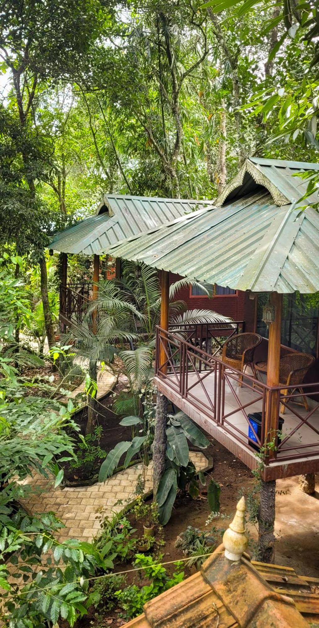 Monsoon Retreats Ecostay- Treehouse Thekkady Exterior foto