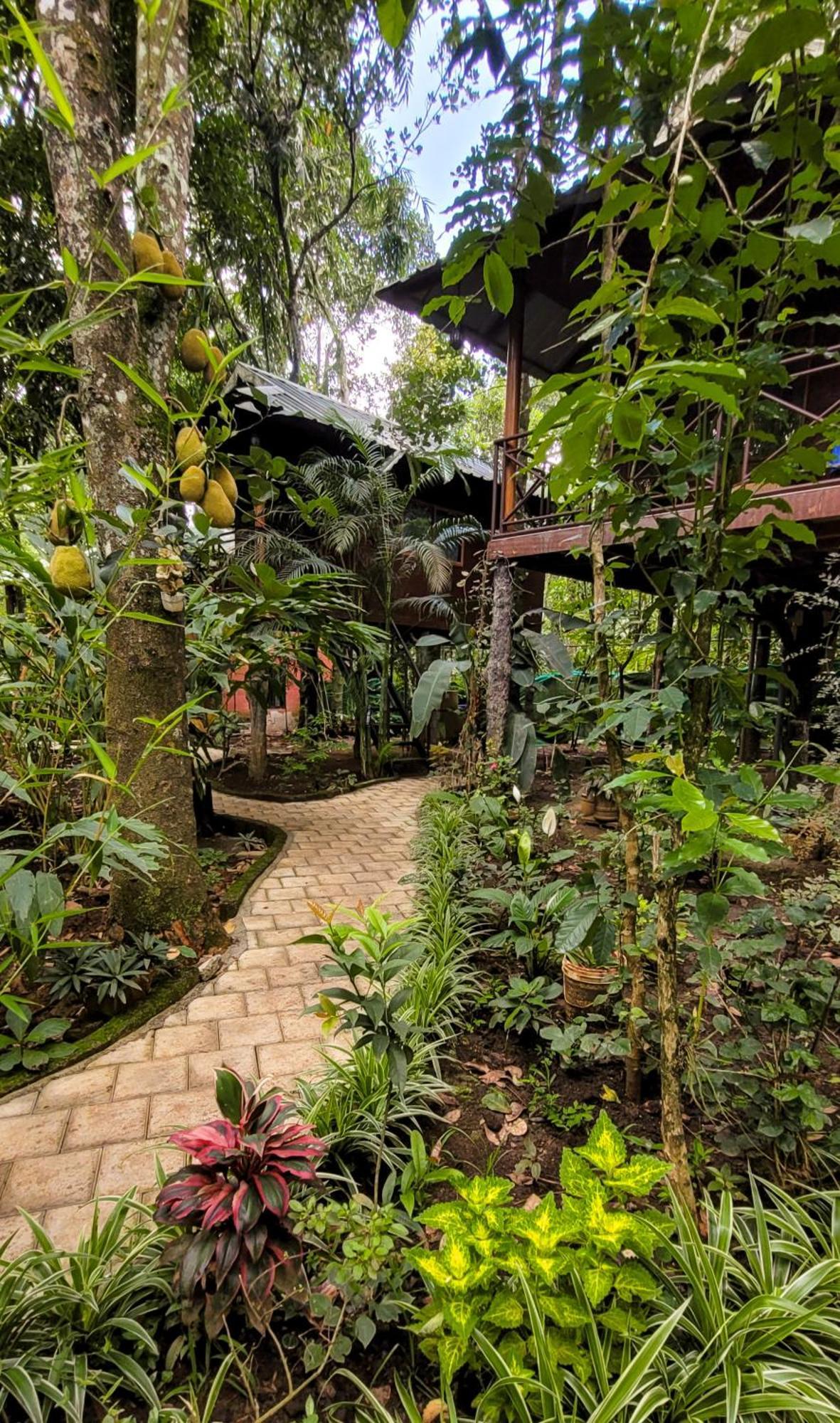 Monsoon Retreats Ecostay- Treehouse Thekkady Exterior foto