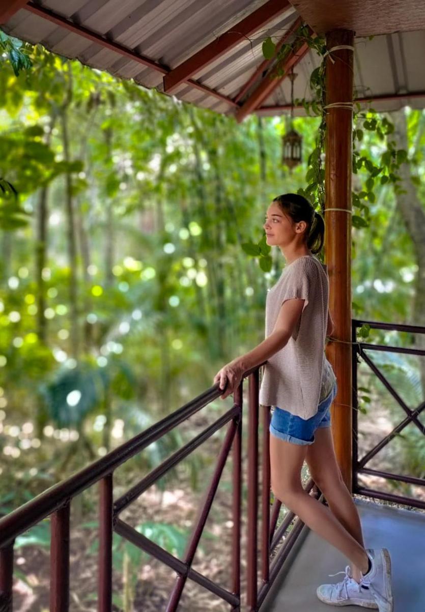 Monsoon Retreats Ecostay- Treehouse Thekkady Exterior foto