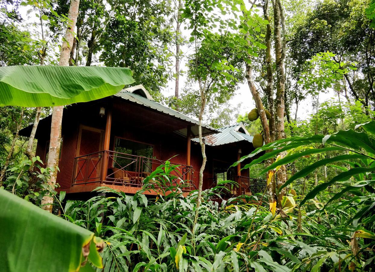 Monsoon Retreats Ecostay- Treehouse Thekkady Exterior foto
