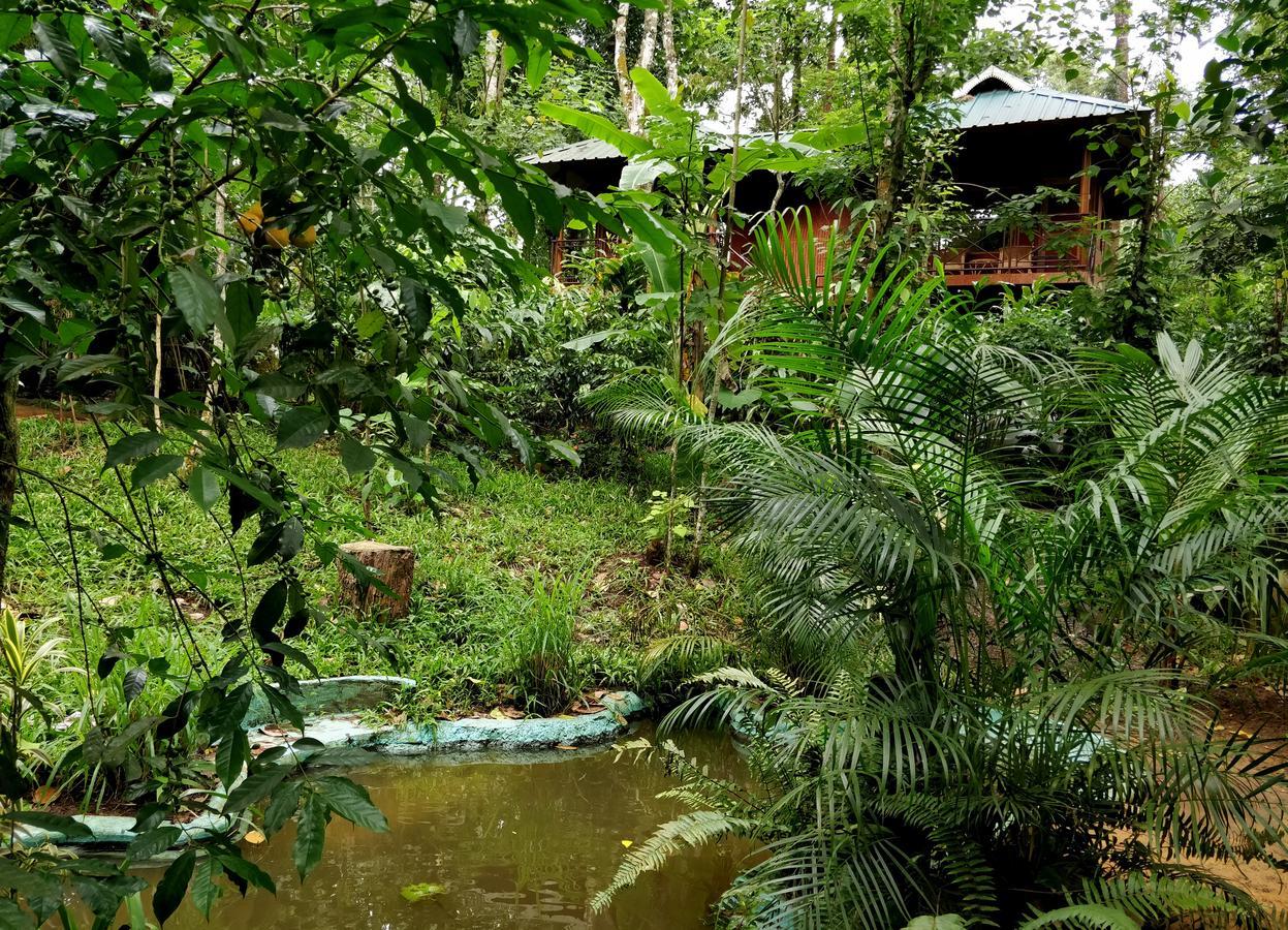 Monsoon Retreats Ecostay- Treehouse Thekkady Exterior foto