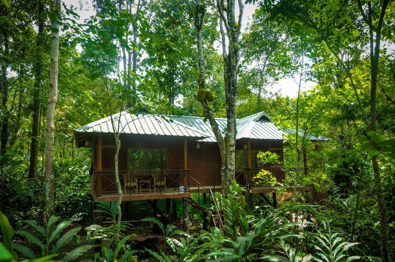 Monsoon Retreats Ecostay- Treehouse Thekkady Exterior foto