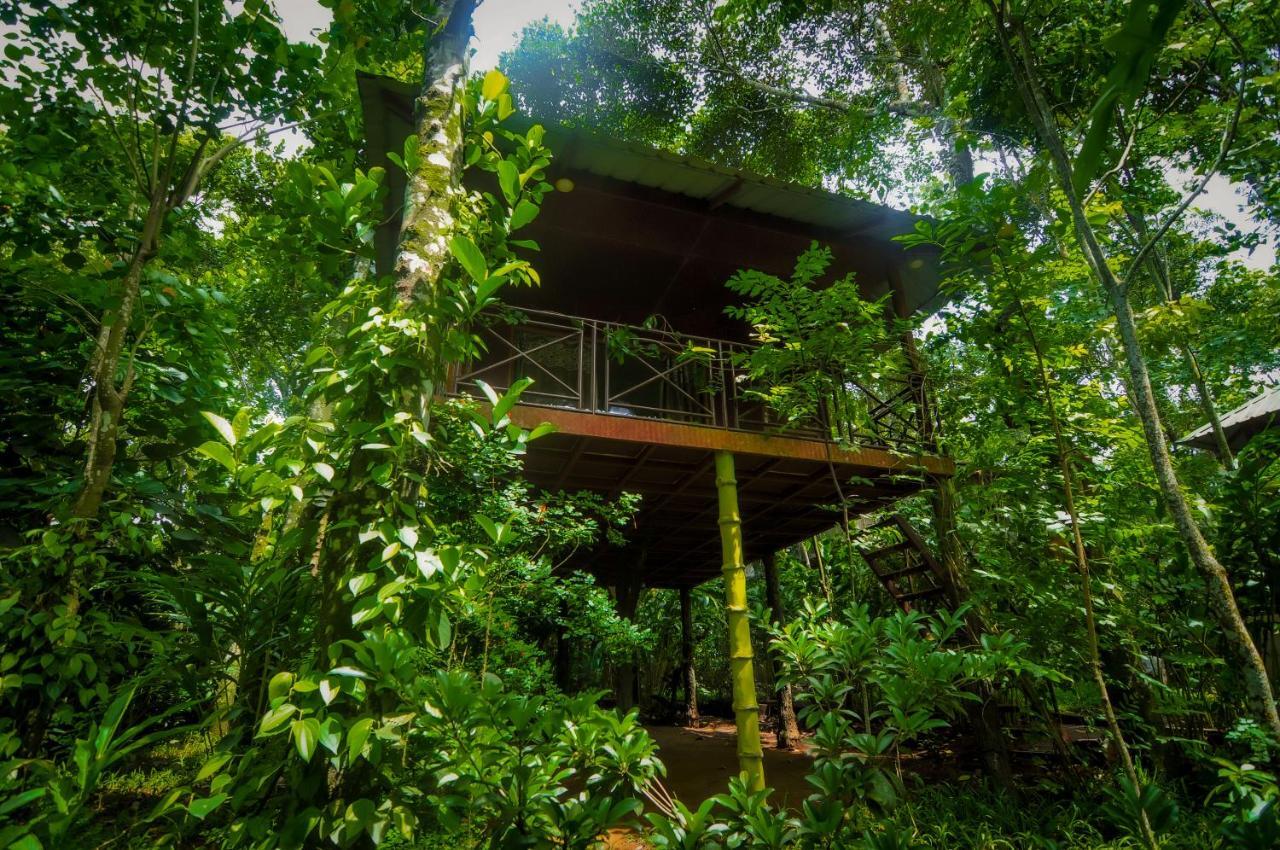 Monsoon Retreats Ecostay- Treehouse Thekkady Exterior foto