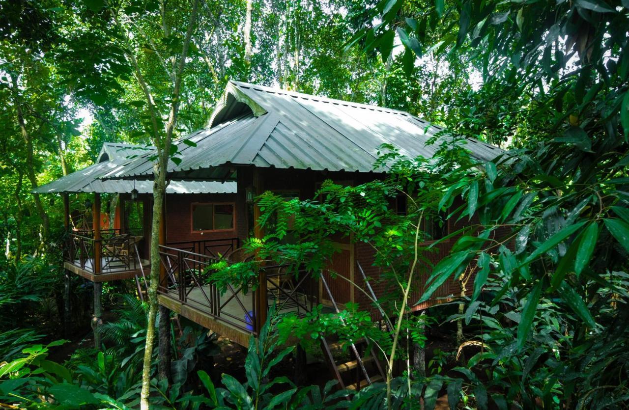 Monsoon Retreats Ecostay- Treehouse Thekkady Exterior foto